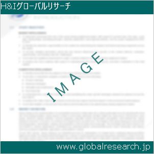グローバルリサーチ調査レポートのイメージ